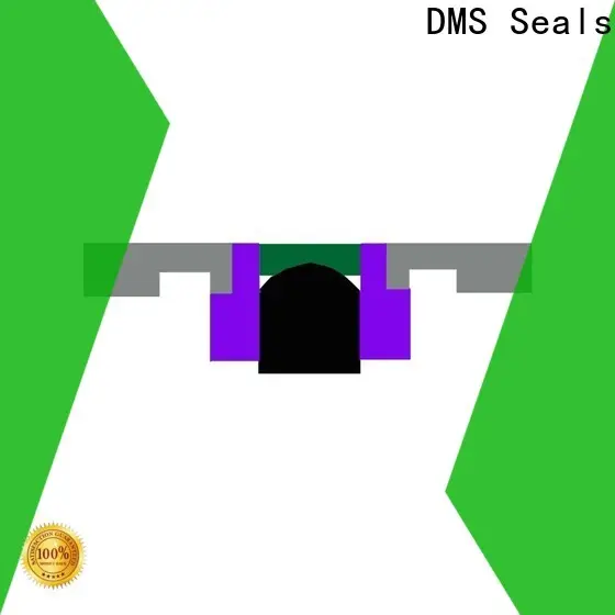 DMS Seals hydraulic valve seals vendor for sale 1