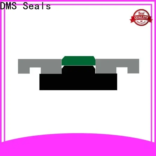 DMS Seals Latest forklift hydraulic cylinder seals price for light and medium hydraulic systems 1