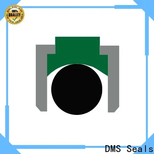 DMS Seals hydraulic seals companies wholesale for pneumatic equipment 1
