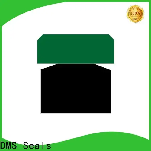 DMS Seals hydraulic packing kits supplier for pneumatic equipment 1