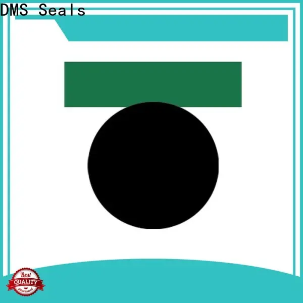 DMS Seals shaft wiper seal supplier for pneumatic equipment 1