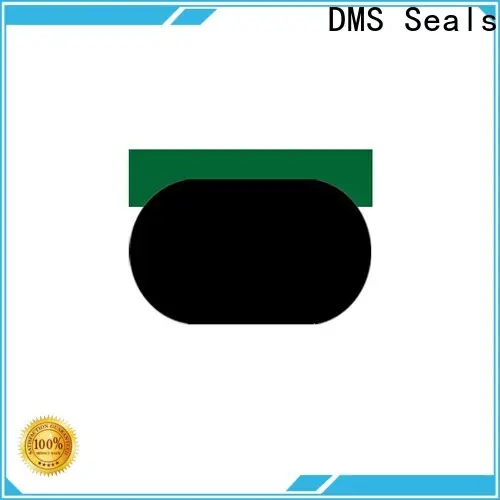 DMS Seals Best 4 inch hydraulic cylinder seal kit supply for pneumatic equipment 1