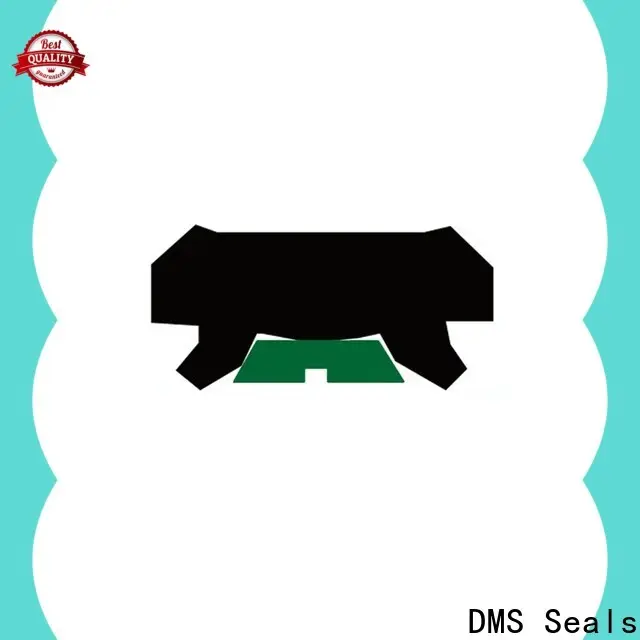 Custom molded seals manufacturer for pressure work and sliding high speed occasions 1