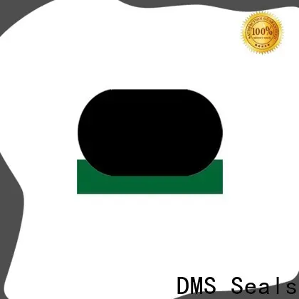 DMS Seals hydraulic cylinder rebuild parts for sale to high and low speed 1