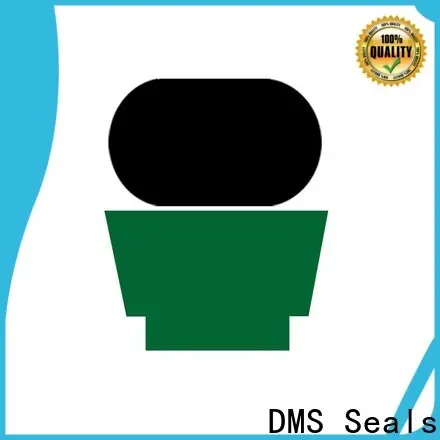 DMS Seals wholesale hydraulic seals supply for pressure work and sliding high speed occasions 1