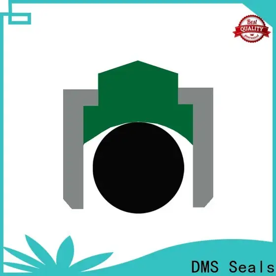 DMS Seals Best marine oil seals price for automotive equipment 1