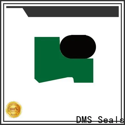 DMS Seals Latest hydraulic piston cup seals company for injection molding machines 1