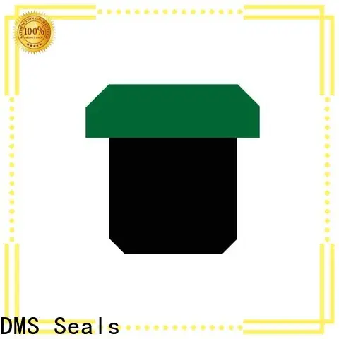 DMS Seals cylinder rod seal for sale for sale 1