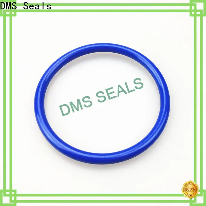 Best o ring price list vendor in highly aggressive chemical processing 1