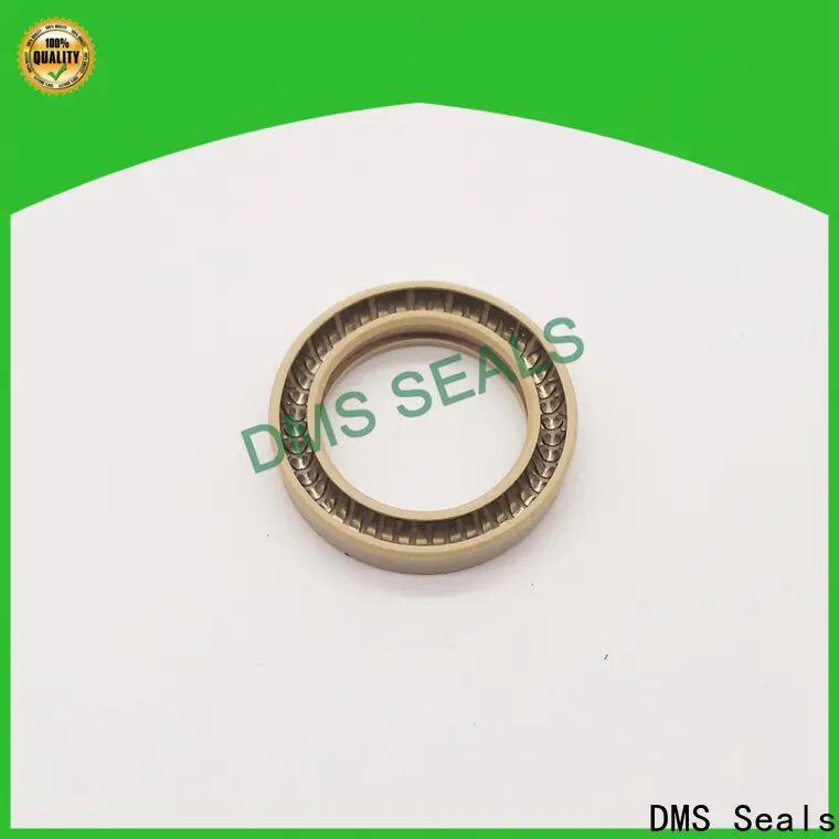 DMS Seals oil seal manufacturer manufacturer for reciprocating piston rod or piston single acting seal 1