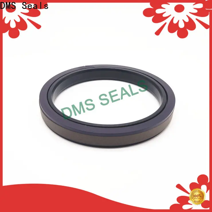 Customized shaft seals for pumps supplier for piston and hydraulic cylinder 1