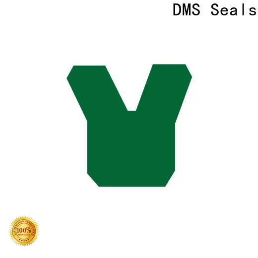 DMS Seals best cylinder rod wiper factory to high and low speed 1