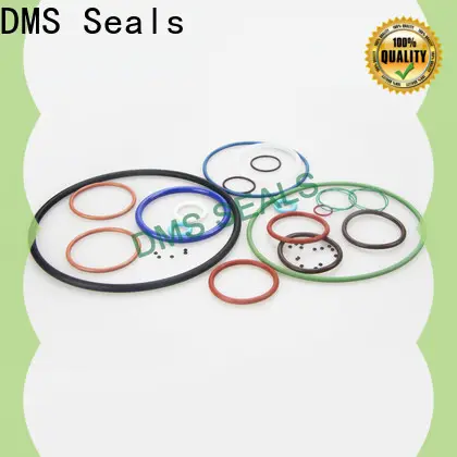 High-quality o rubber supplier in highly aggressive chemical processing 1