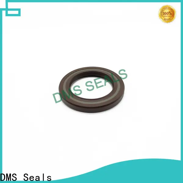 DMS Seals New oil seal drawing factory price for low and high viscosity fluids sealing 1