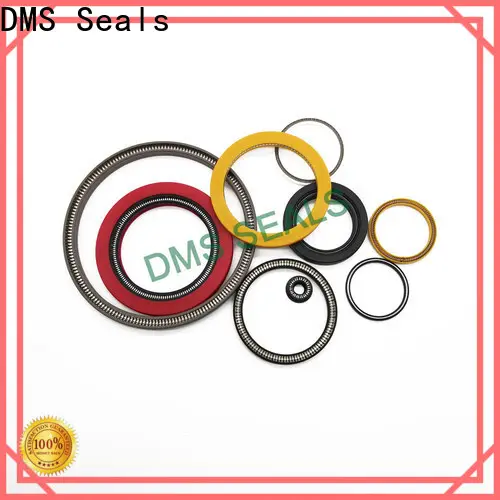 DMS Seals mechanical seal arrangement vendor for reciprocating piston rod or piston single acting seal 1