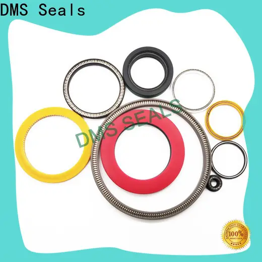 DMS Seals shaft seals for dynamic applications factory for reciprocating piston rod or piston single acting seal 1