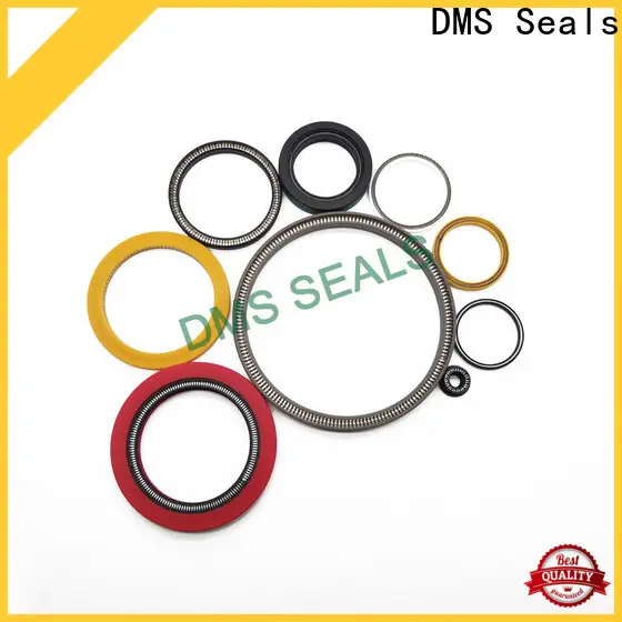 DMS Seals Best spring loaded double lip seal company for reciprocating piston rod or piston single acting seal 1