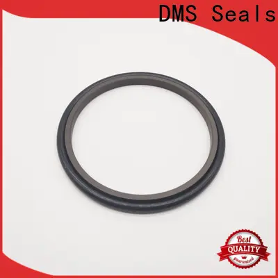 DMS Seals Professional window seal suppliers for piston and hydraulic cylinder 1
