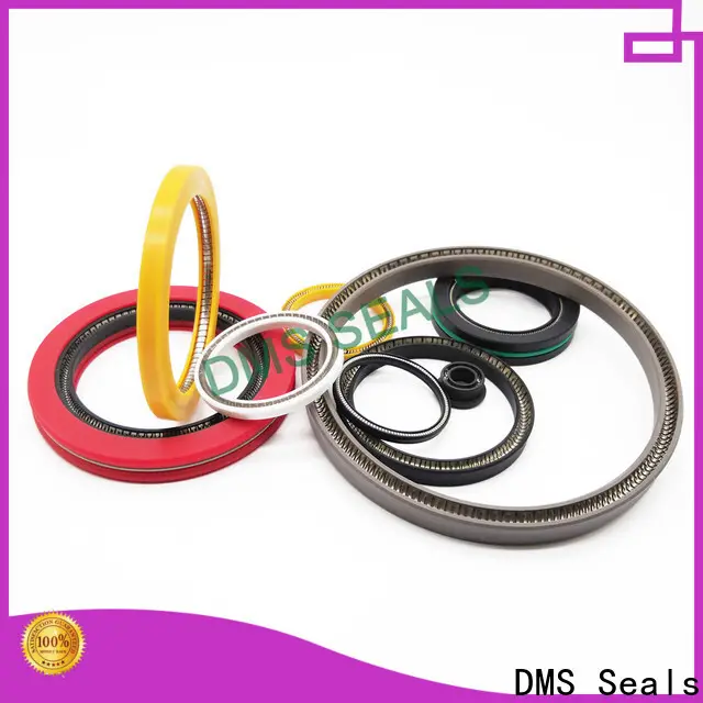 DMS Seals multi spring seal factory for reciprocating piston rod or piston single acting seal 1