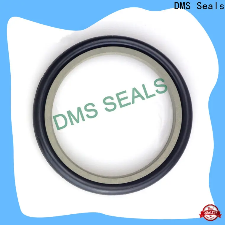 DMS Seals Professional abs mechanical seal supplier for larger piston clearance 1