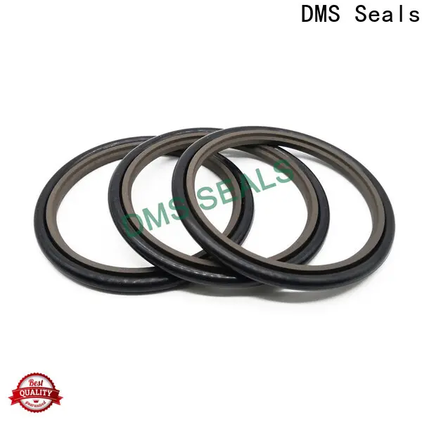 Latest shaft seals for pumps wholesale for larger piston clearance 1