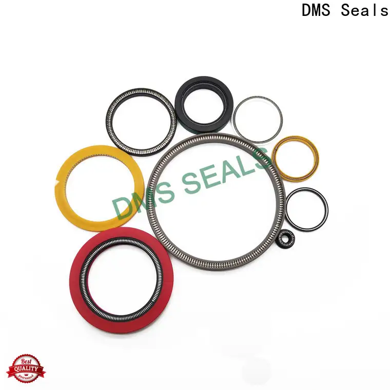 DMS Seals Customized spring energised seal factory price for fracturing 1