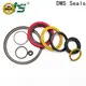 DMS Seals spring energized ptfe seal for fracturing 1