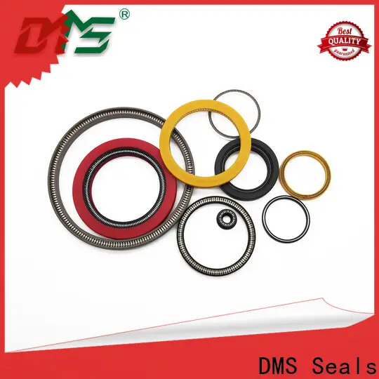 DMS Seals energized seal for sale for acidizing 1