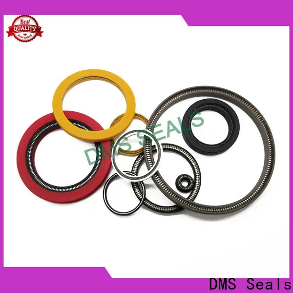 DMS Seals Custom made parker spring energized seals factory price for acidizing 1