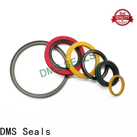 DMS Seals Best spring energised seal wholesale for cementing 1