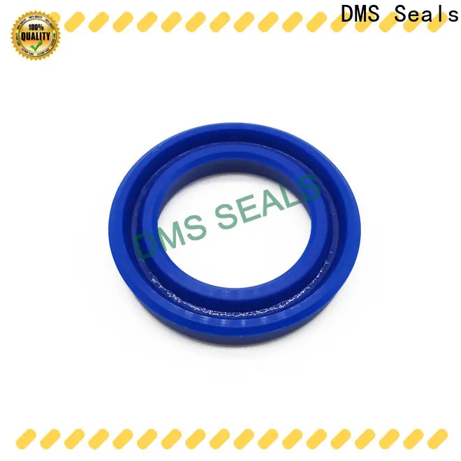 Professional common seal manufacturers company for larger piston clearance 1