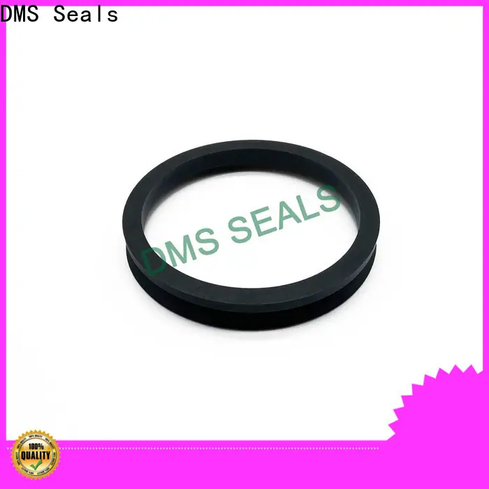 DMS Seals wiper seal factory for sale 1