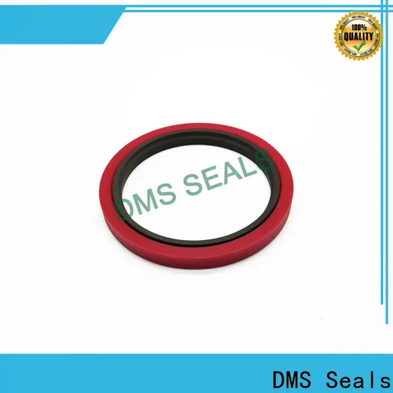 DMS Seals hyd seal supplier for pressure work and sliding high speed occasions 1