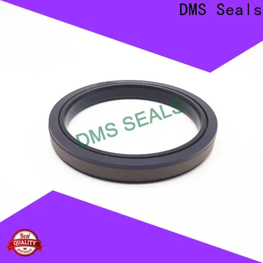 DMS Seals DMS Seals kit seal cylinder factory price for light and medium hydraulic systems 1