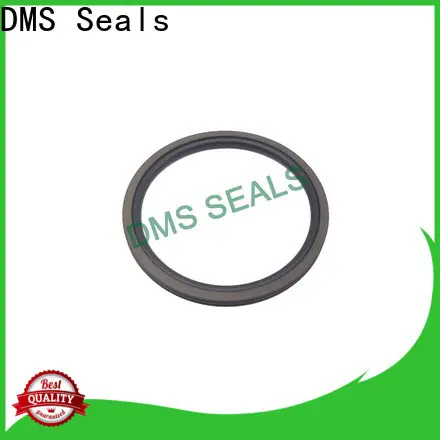 DMS Seals how does a rotary lip seal work factory for construction machinery 1
