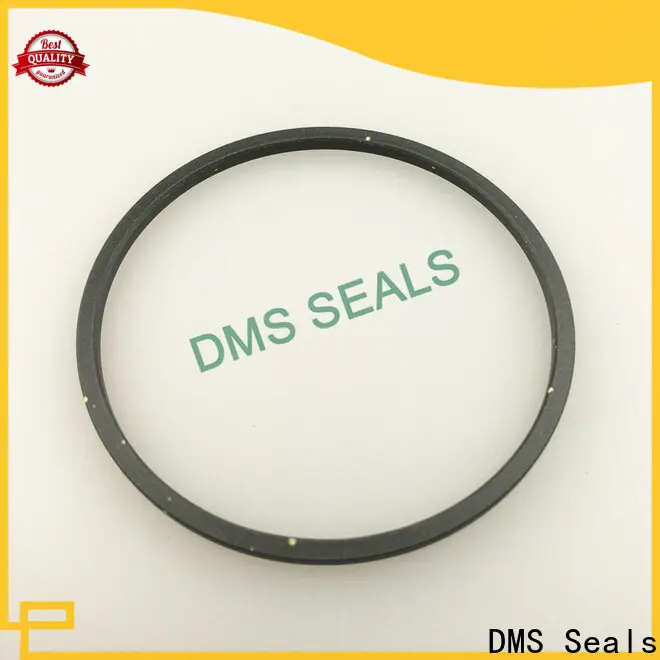 DMS Seals lead seals suppliers cost for larger piston clearance 1