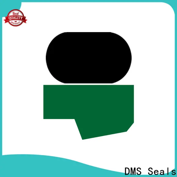 DMS Seals Custom seal pneumatics inc manufacturer to high and low speed 1
