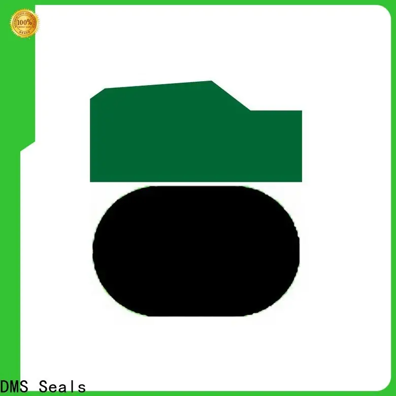 DMS Seals double acting seal for sale for light and medium hydraulic systems 1