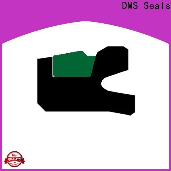 DMS Seals cylinder rod seal vendor for pneumatic equipment 1