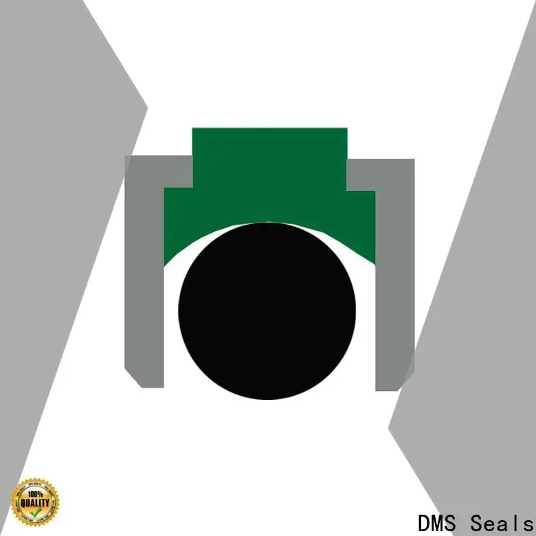 DMS Seals Wholesale hydraulic piston seal installation cost for sale 1