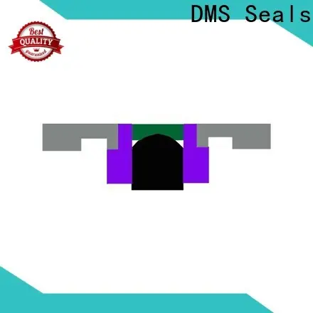 DMS Seals cylinder packing kits supply for pneumatic equipment 1