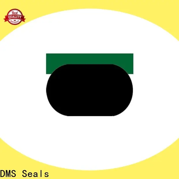 DMS Seals custom oil seals for light and medium hydraulic systems 1