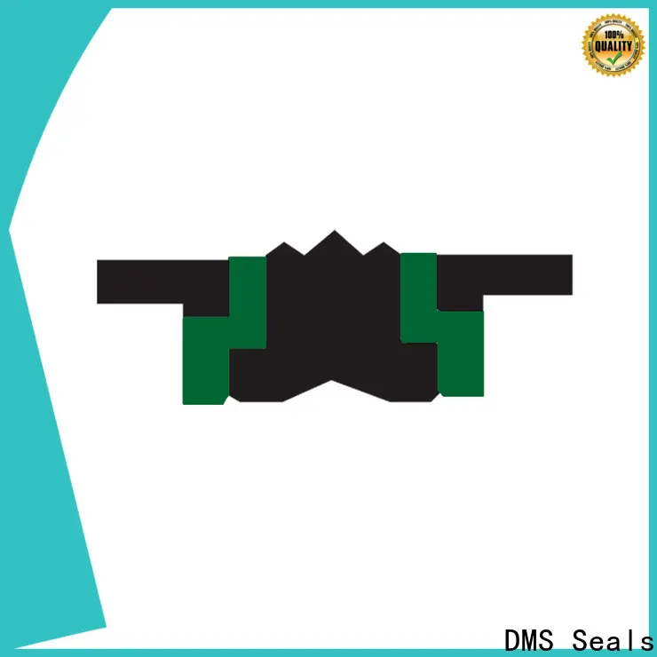 DMS Seals hydraulic press seals manufacturer for pneumatic equipment 1