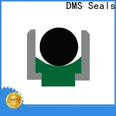 DMS Seals hyd seal manufacturer for pressure work and sliding high speed occasions 1