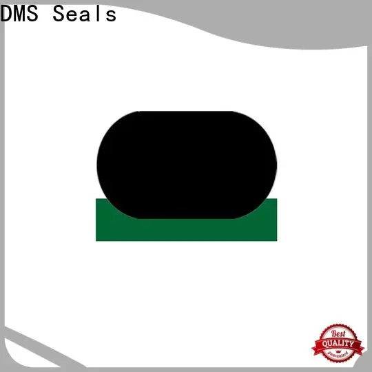 DMS Seals piston rod seal for sale1 1