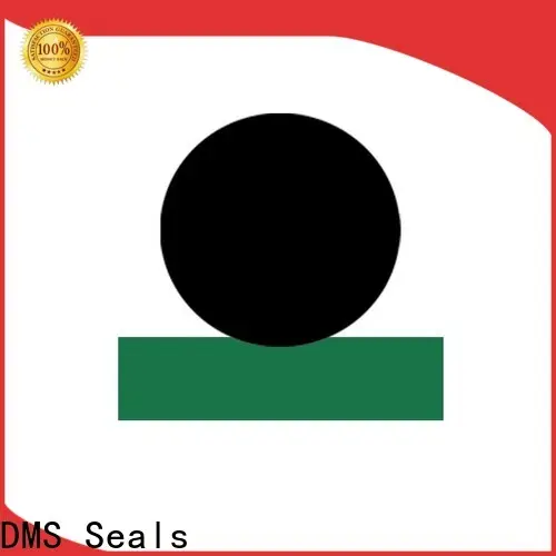 DMS Seals hyd cylinder seals company to high and low speed 1