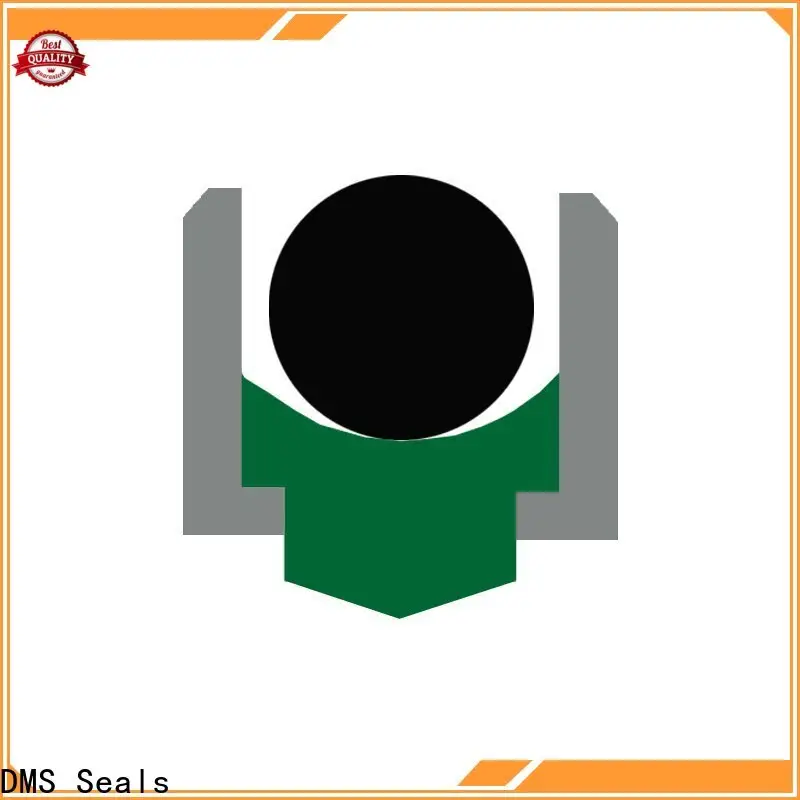 DMS Seals shaft seal bearing manufacturer for construction machinery 1