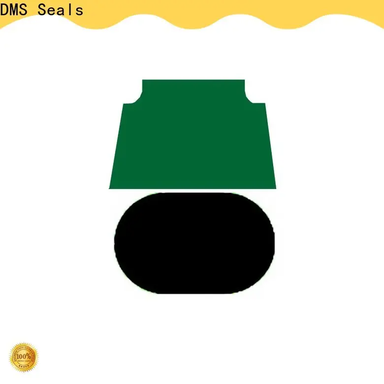 DMS Seals rod seal catalogue factory price for pneumatic equipment 1
