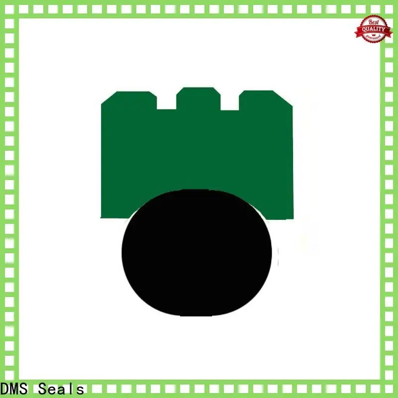 DMS Seals shaft seals for pumps wholesale for construction machinery 1