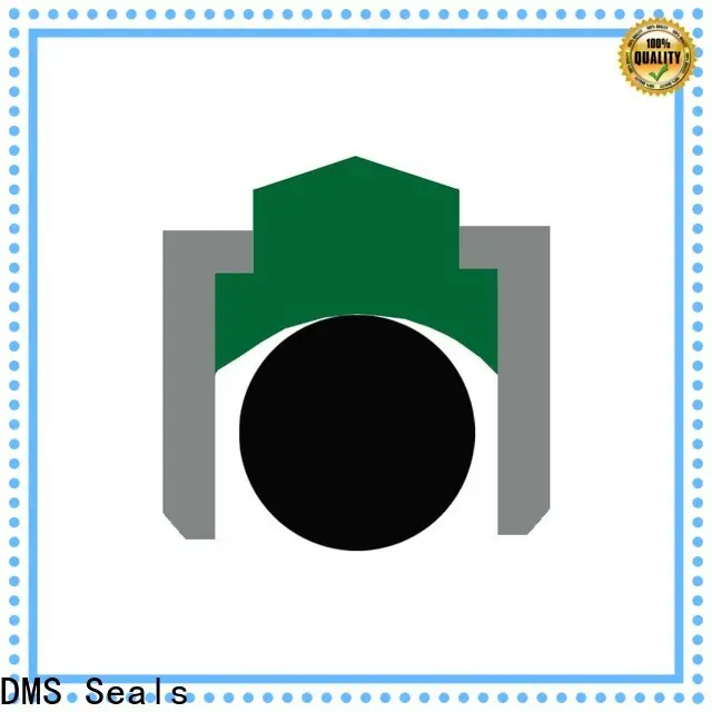 DMS Seals New rotary joint seal wholesale for automotive equipment 1